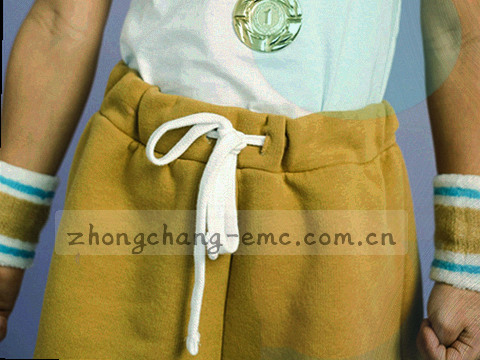 PC端入口路径示意：浏览器地址栏输入域名后，首屏展示开赛前球员数据